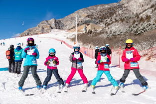 北京滑雪冬令营 崇礼站,专注滑雪技能提升