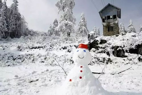 别以为重庆玩不了雪 2017冬季重庆最新玩雪地图