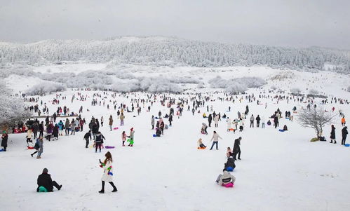 重庆武隆区冰雪旅游点及景区入选 冬日烟火 南国雪乡 精品线路