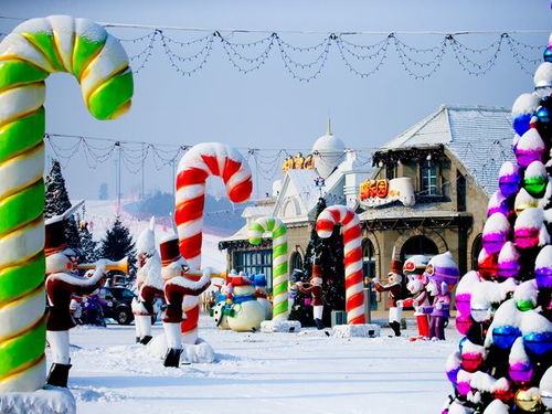 热高滑雪冰雪主题乐园 炫动体育世界1日游 滑雪 戏雪